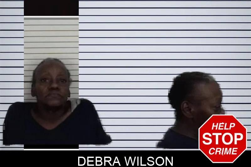 Debra Wilson Mugshots