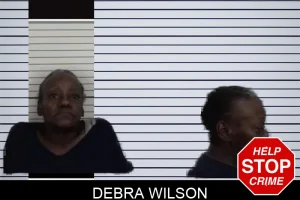 Debra Wilson mugshot