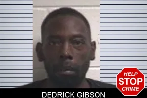 Dedrick Gibson mugshot