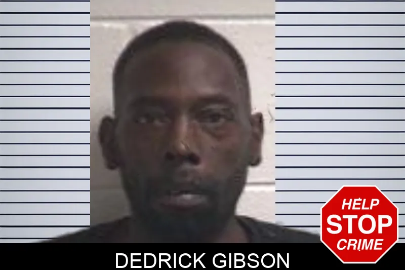 Dedrick Gibson Mugshots