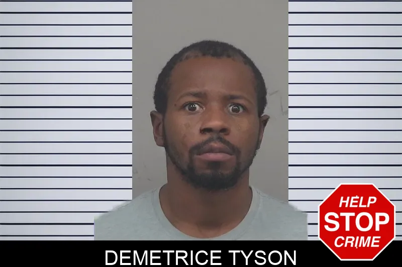 Demetrice Tyson Mugshots