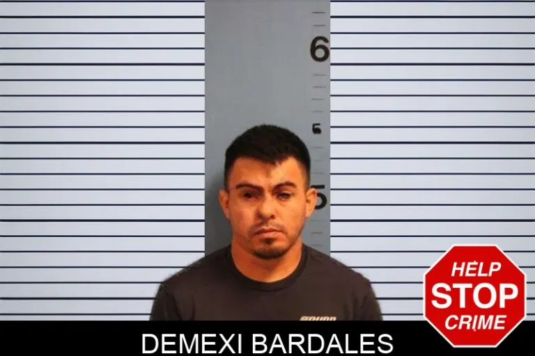 Demexi Bardales