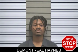 Demontreal Haynes mugshot