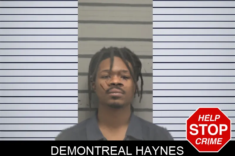 Demontreal Haynes Mugshots