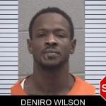 Deniro Wilson Mugshots