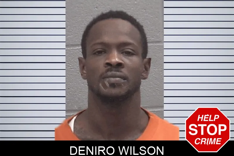 Deniro Wilson Mugshots