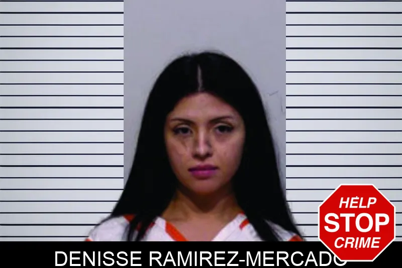 Denisse Ramirez-Mercado Mugshots