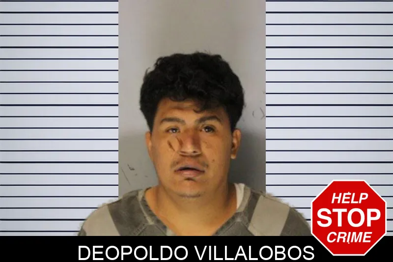 Deopoldo Villalobos Mugshots