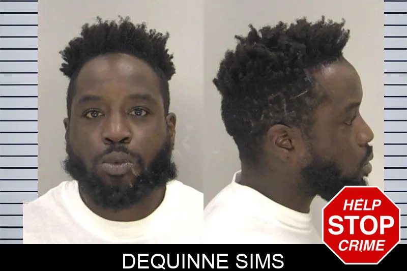 Dequinne Sims Mugshots