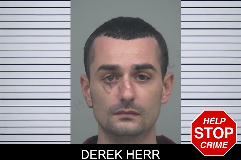 Derek Herr Mugshots