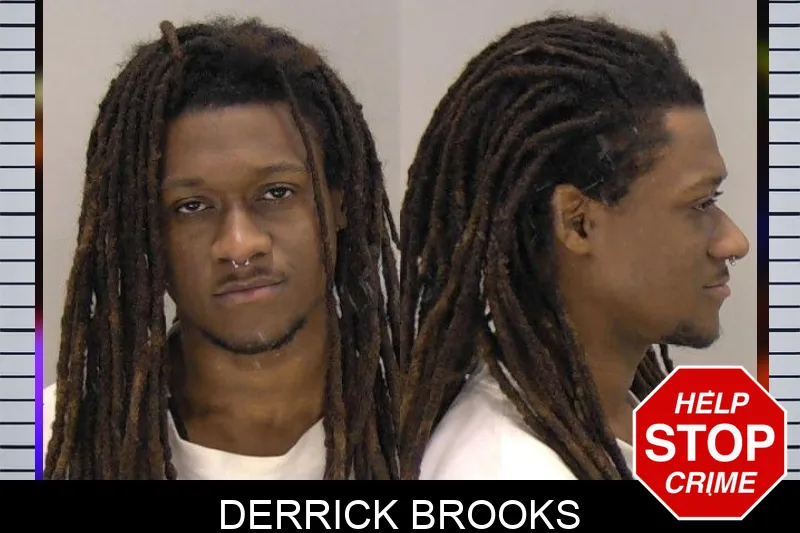 Derrick Brooks Mugshots