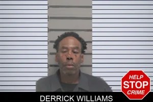 Derrick Williams mugshot