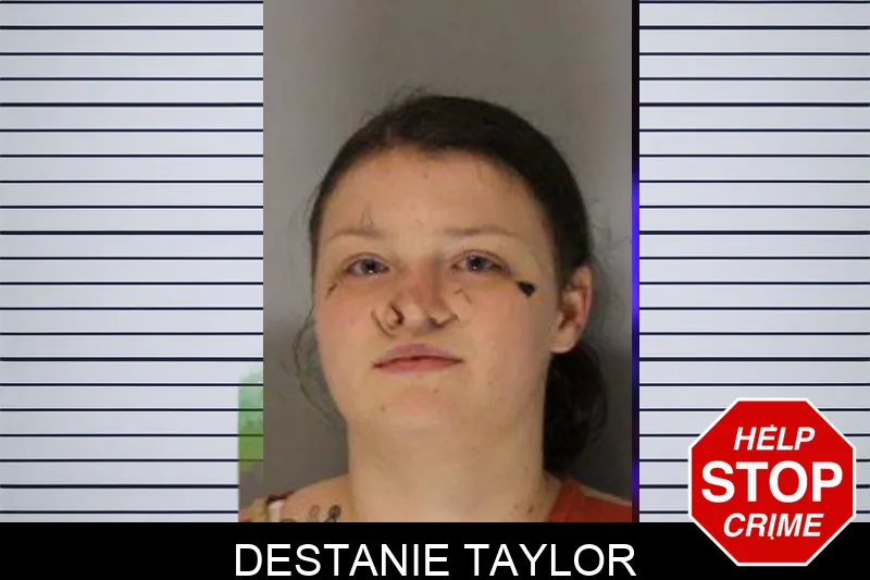 Destanie Taylor Mugshots