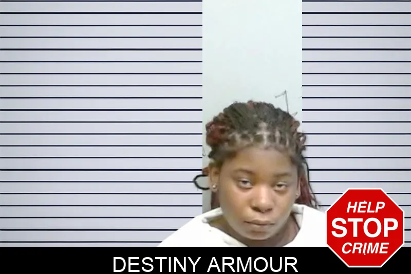 Destiny Armour mugshot