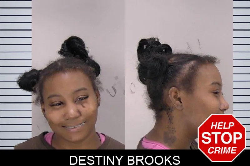 Destiny Brooks Mugshots