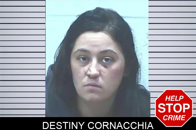 Destiny Cornacchia Mugshots