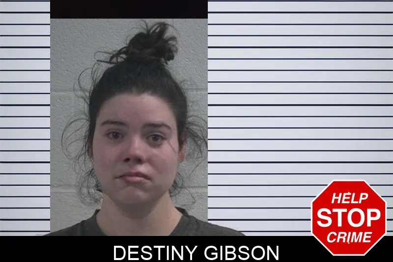 Destiny Gibson Mugshots