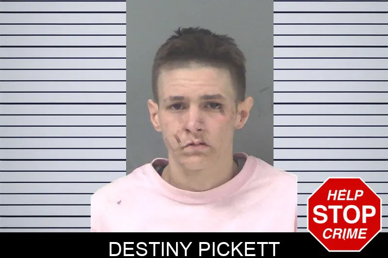 Destiny Pickett Mugshots