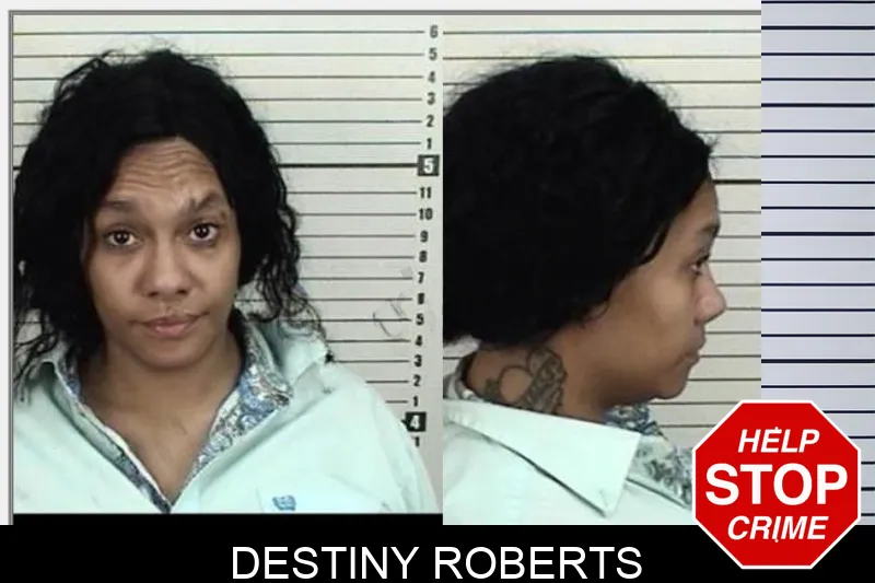 Destiny Roberts Mugshots