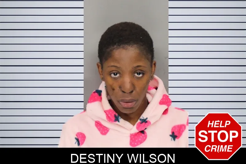 Destiny Wilson Mugshots