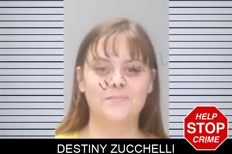 Destiny Zucchelli Mugshots