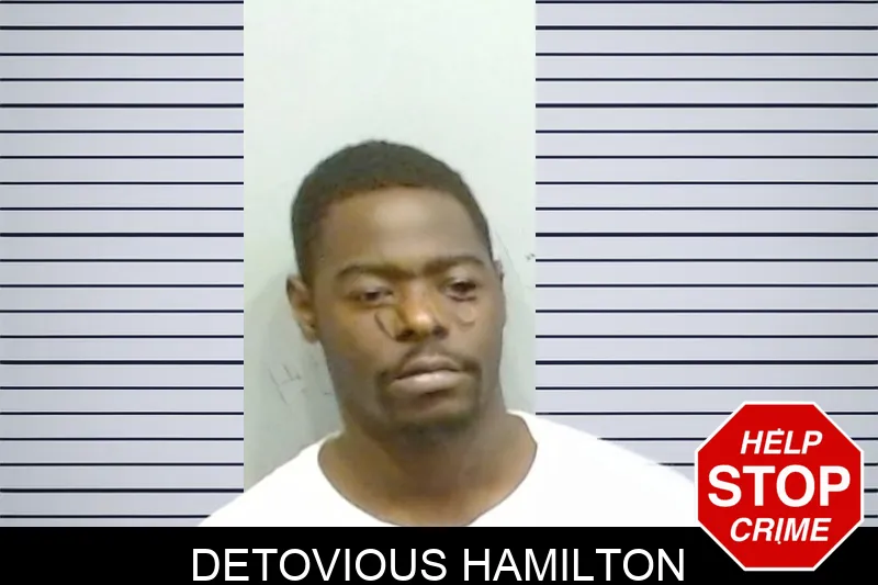 Detovious Hamilton Mugshots