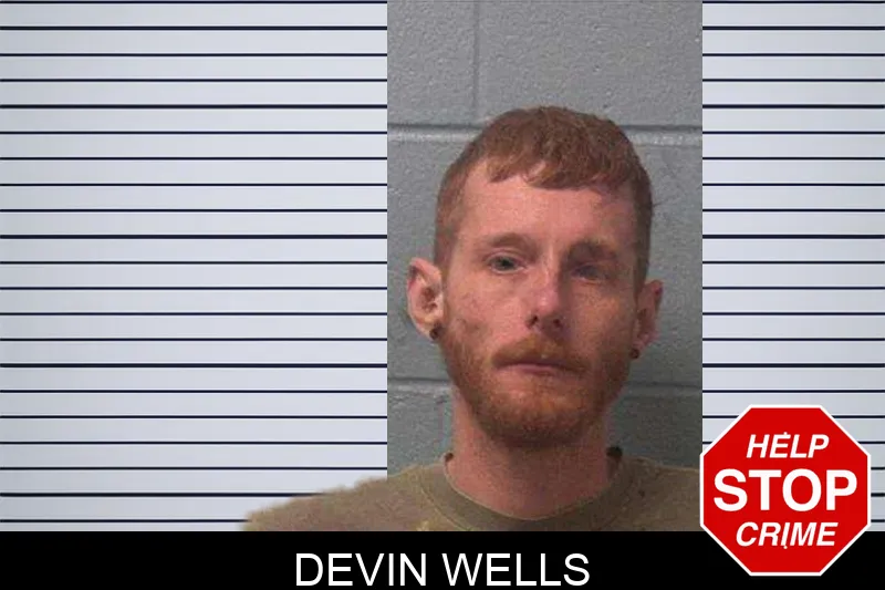 Devin Wells Mugshots