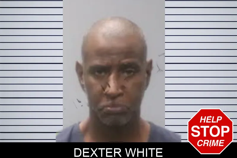 Dexter White Mugshots