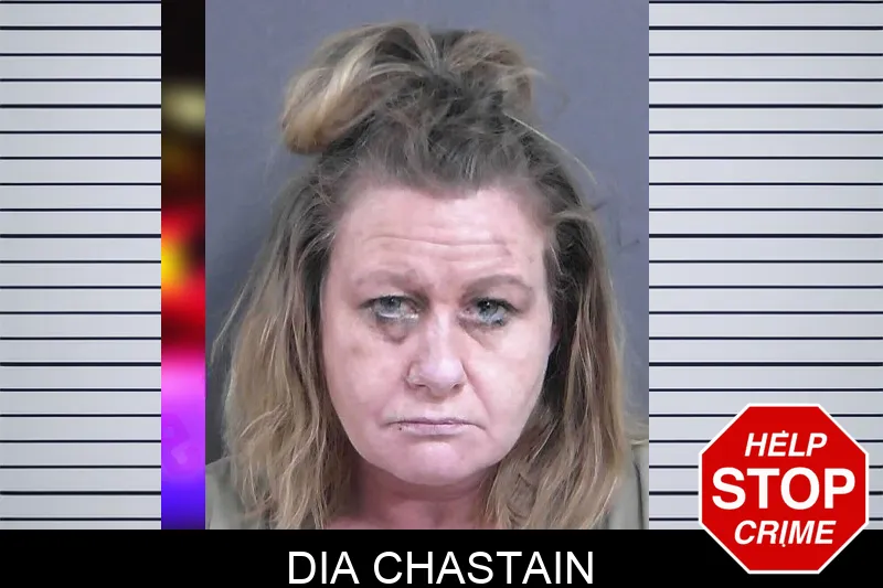 Dia Chastain Mugshots