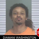 Diamani Washington Mugshots