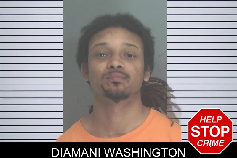 Diamani Washington Mugshots