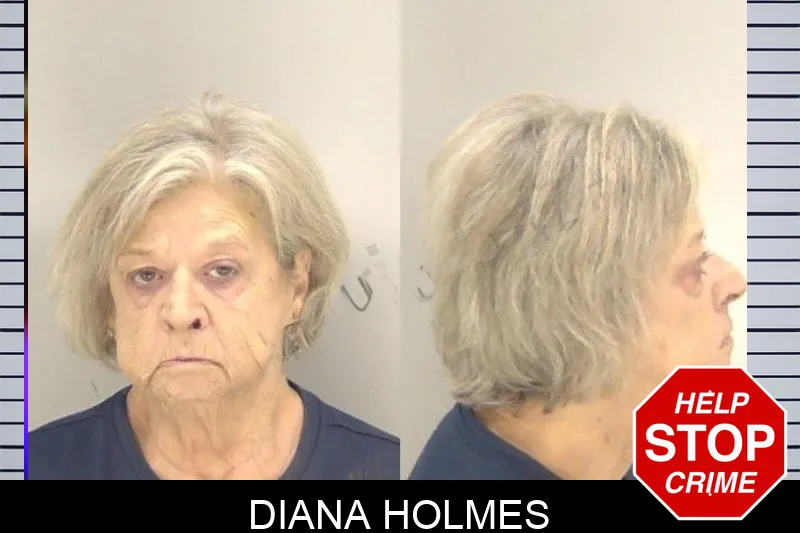 Diana Holmes Mugshots