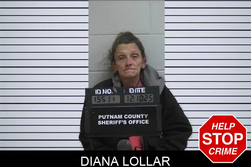Diana Lollar Mugshots
