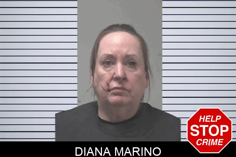 Diana Marino Mugshots