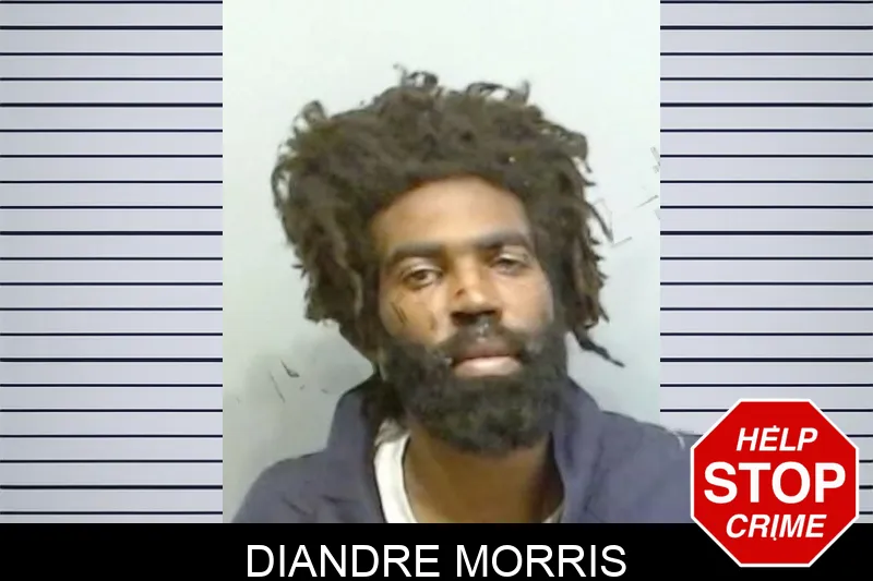 Diandre Morris mugshot