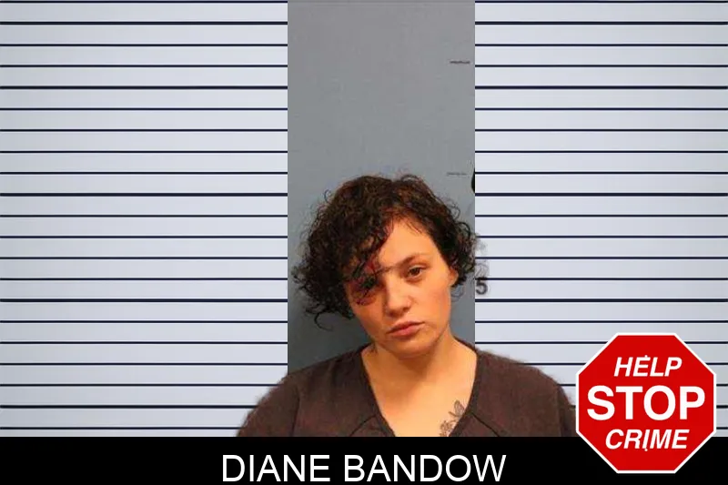 Diane Bandow Mugshots