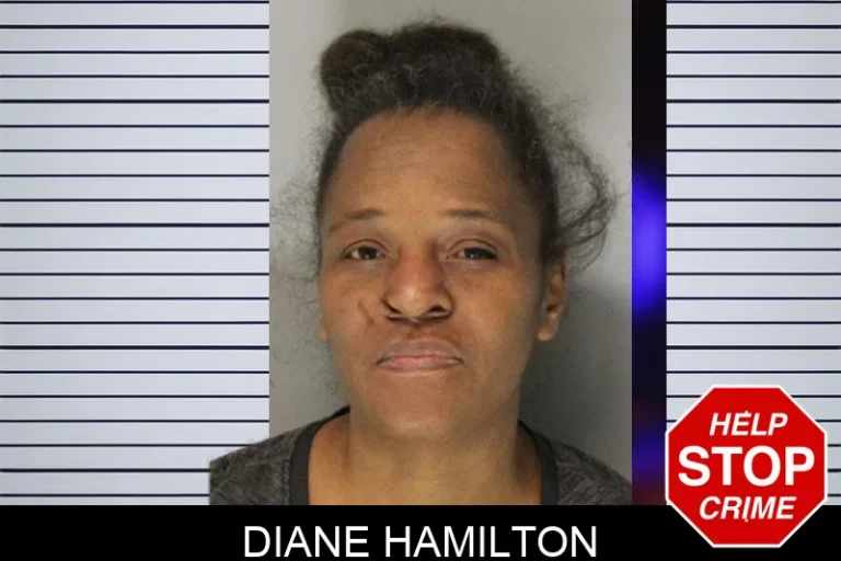 Diane Hamilton mugshot – Hall County , Georgia Diane Hamilton