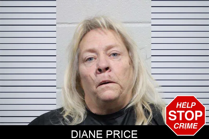 Diane Price Mugshots