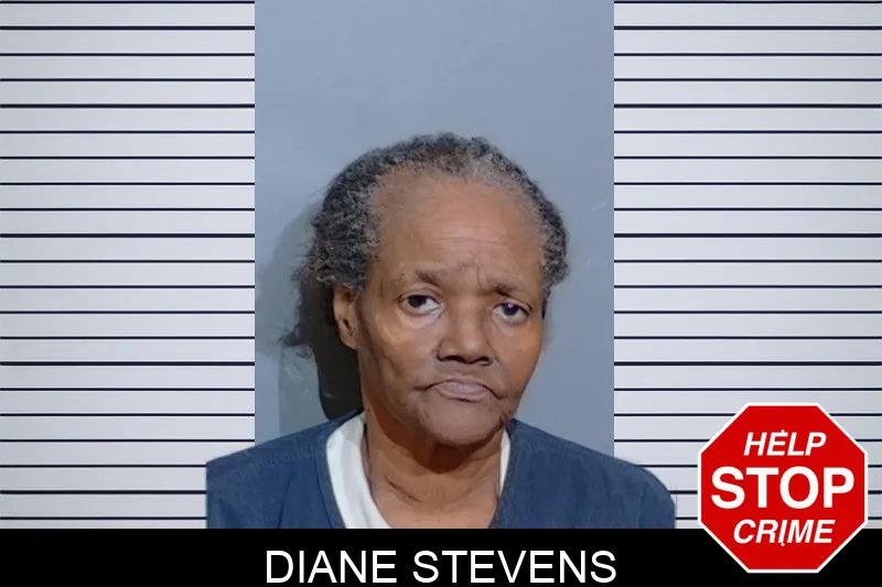 Diane Stevens Mugshots