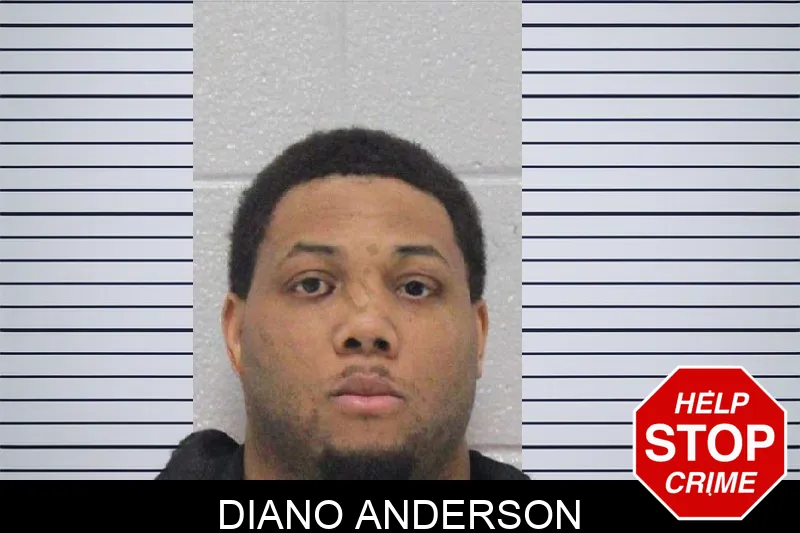 Diano Anderson Mugshots