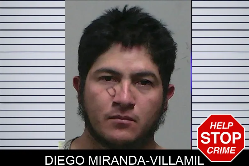 Diego Miranda-Villamil Mugshots