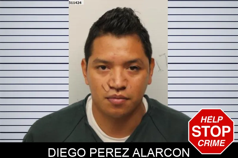 Diego Perez Alarcon Mugshots
