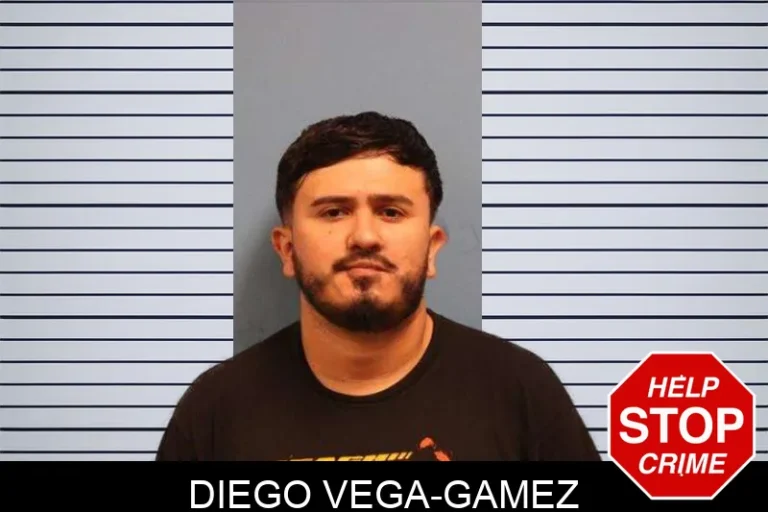 Diego Vega-Gamez