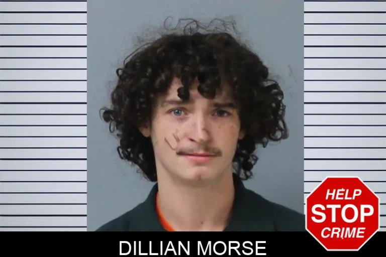 Dillian Morse