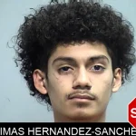 Dimas Hernandez-Sanchez Mugshots