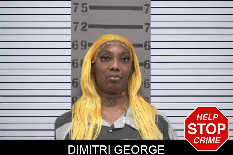 Dimitri George Mugshots