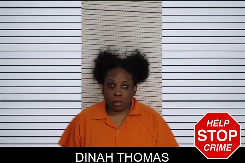 Dinah Thomas Mugshots