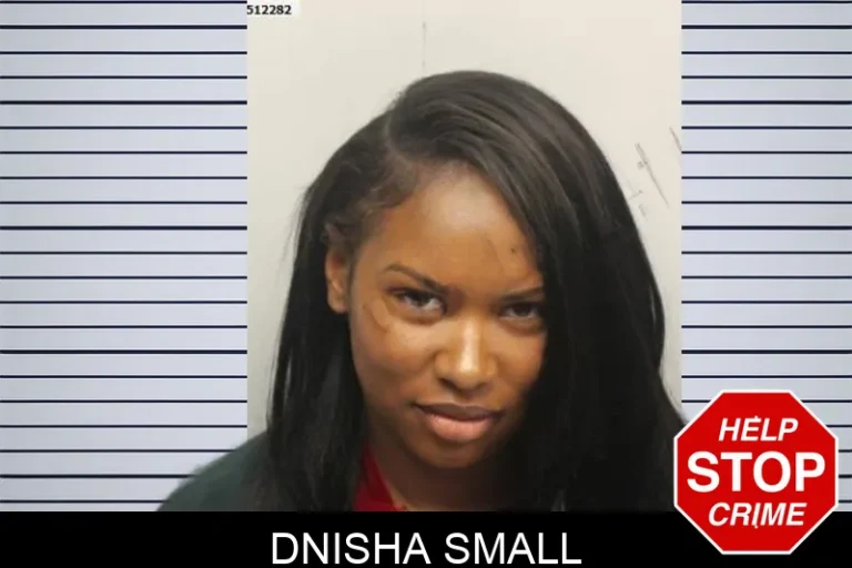 Dnisha Small mugshot – Chatham County , Georgia Dnisha Small