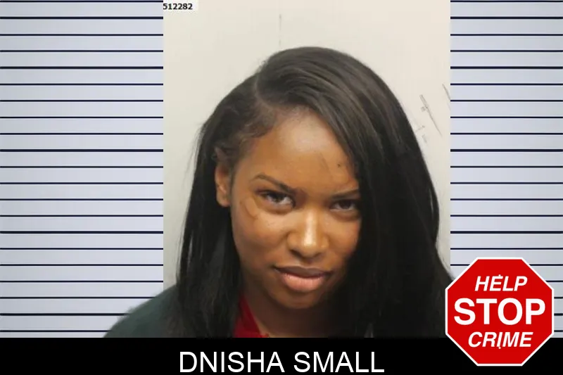 Dnisha Small Mugshots