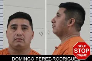 Domingo Perez-Rodriguez mugshot